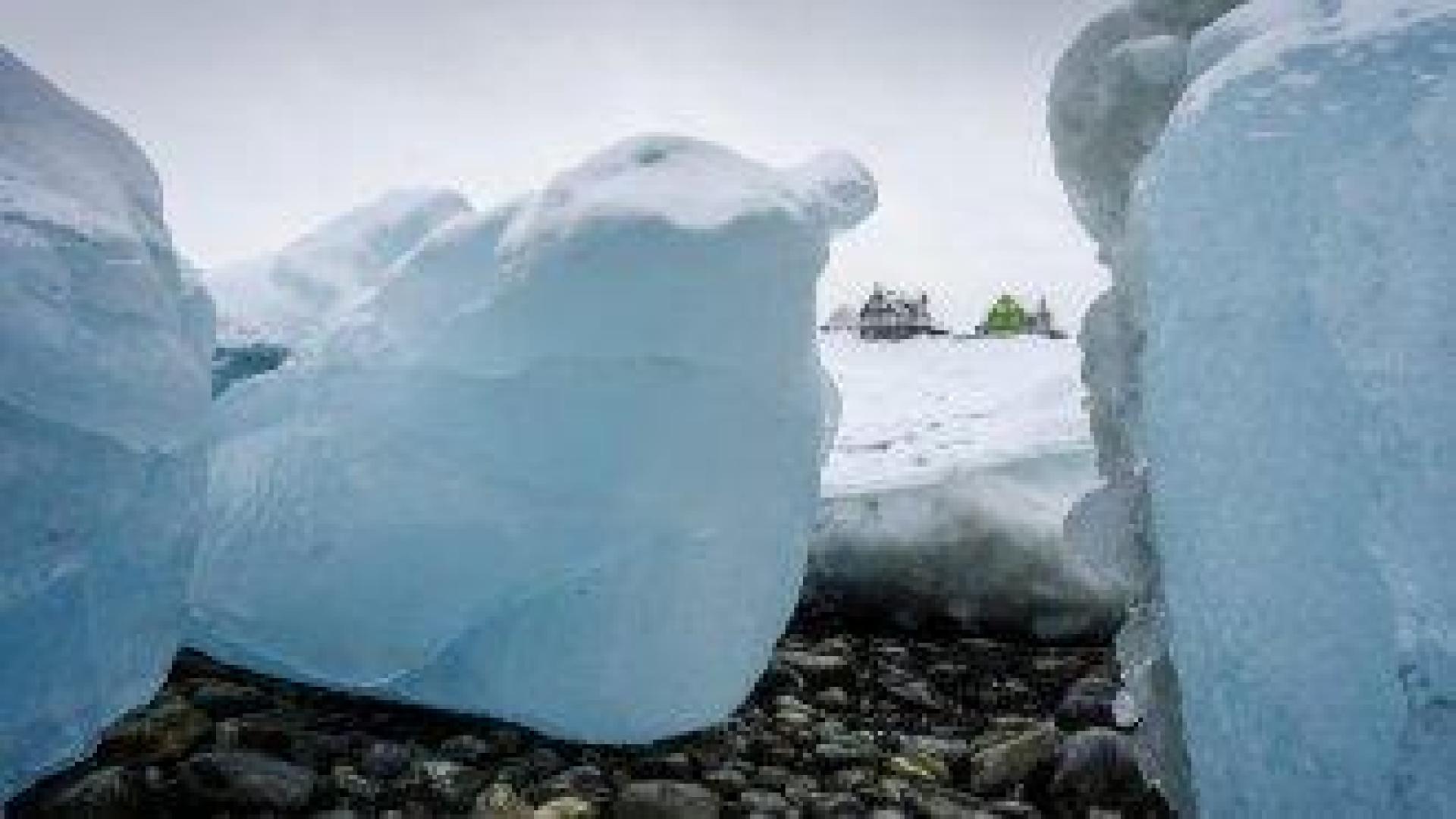 NBC News: Тръмп подготвя предложение за закупуване на Гренландия за 700 милиарда долара