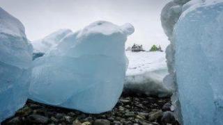 NBC News: Тръмп подготвя предложение за закупуване на Гренландия за 700 милиарда долара